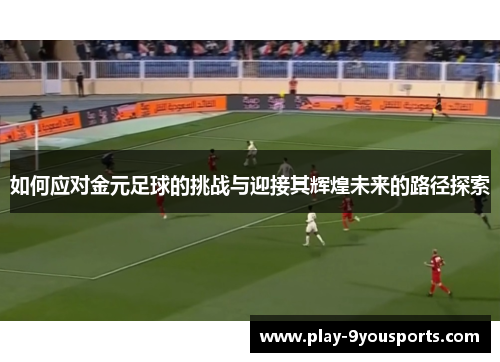 如何应对金元足球的挑战与迎接其辉煌未来的路径探索