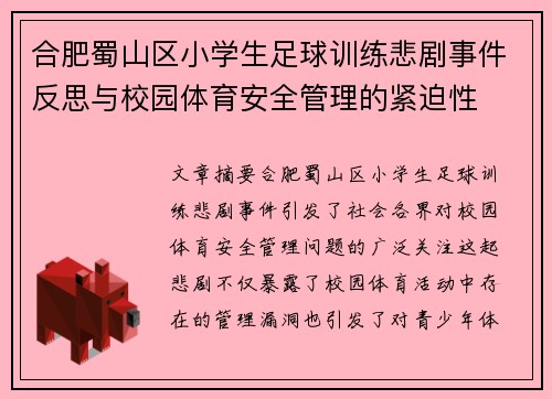 合肥蜀山区小学生足球训练悲剧事件反思与校园体育安全管理的紧迫性